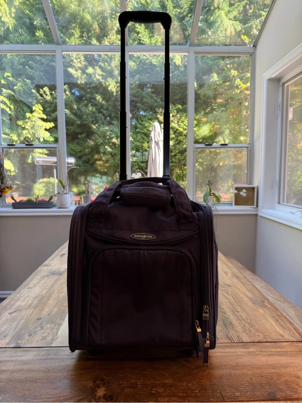 Samsonite Travel Organizer Bag in Deep Purple